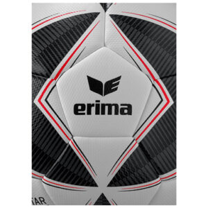 Senzor-Star Training – Bild 2