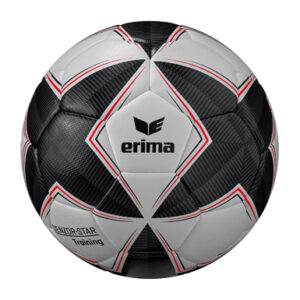 Senzor-Star Training – Bild 1