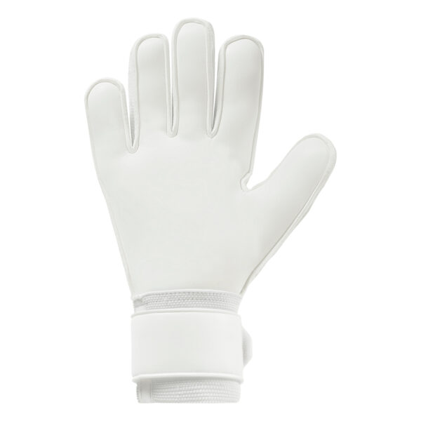 Fm Cybertec Soft Pro