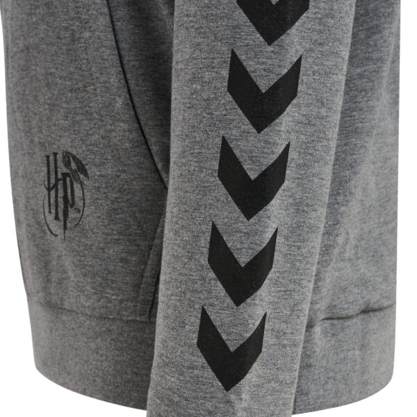 hmlHARRY POTTER CUATRO HOODIE