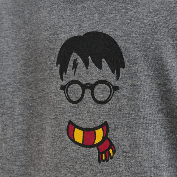 hmlHARRY POTTER CUATRO HOODIE