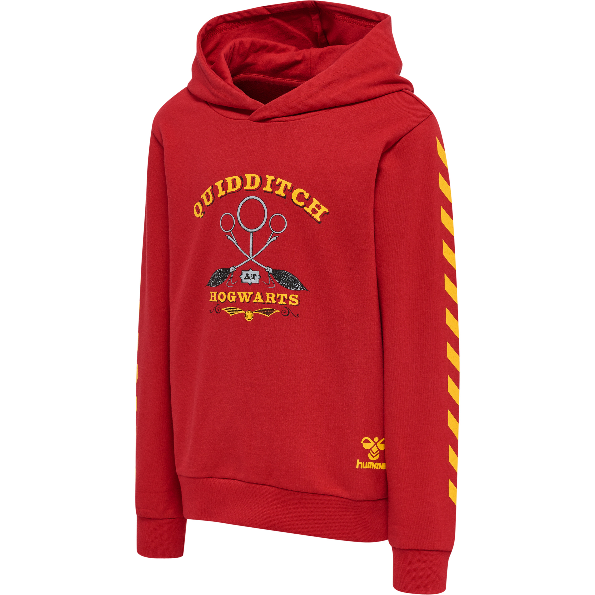 hmlHARRY POTTER CUATRO HOODIE – Bild 6