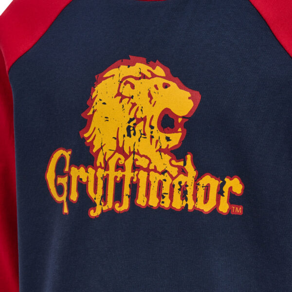 hmlHARRY POTTER BOYS T-SHIRT L/S