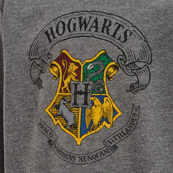hmlHARRY POTTER SPRING TRACKSUIT