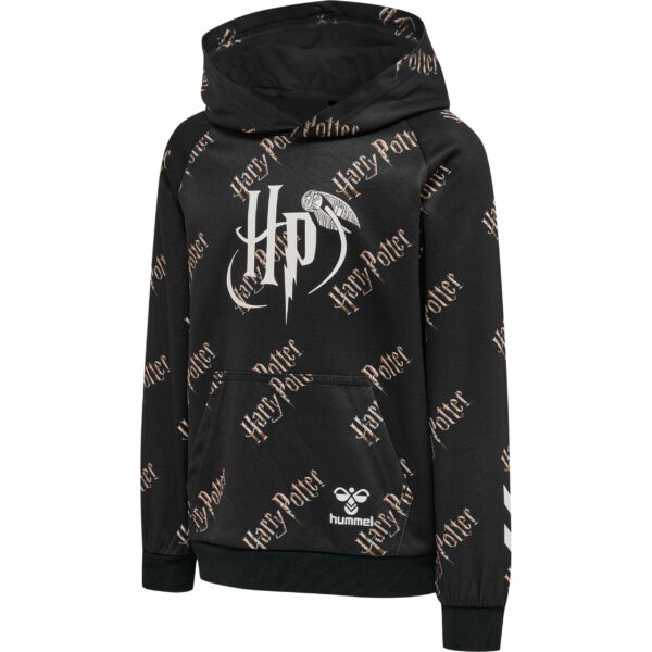 Potter Hoodie