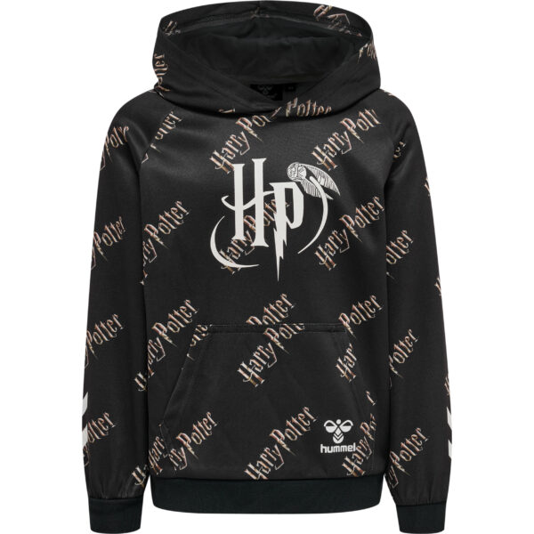 Potter Hoodie
