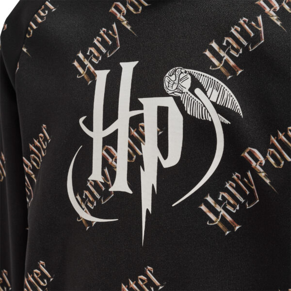 Potter Hoodie