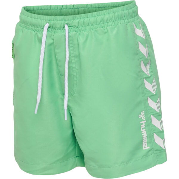 hmlDELTA BOARD SHORTS