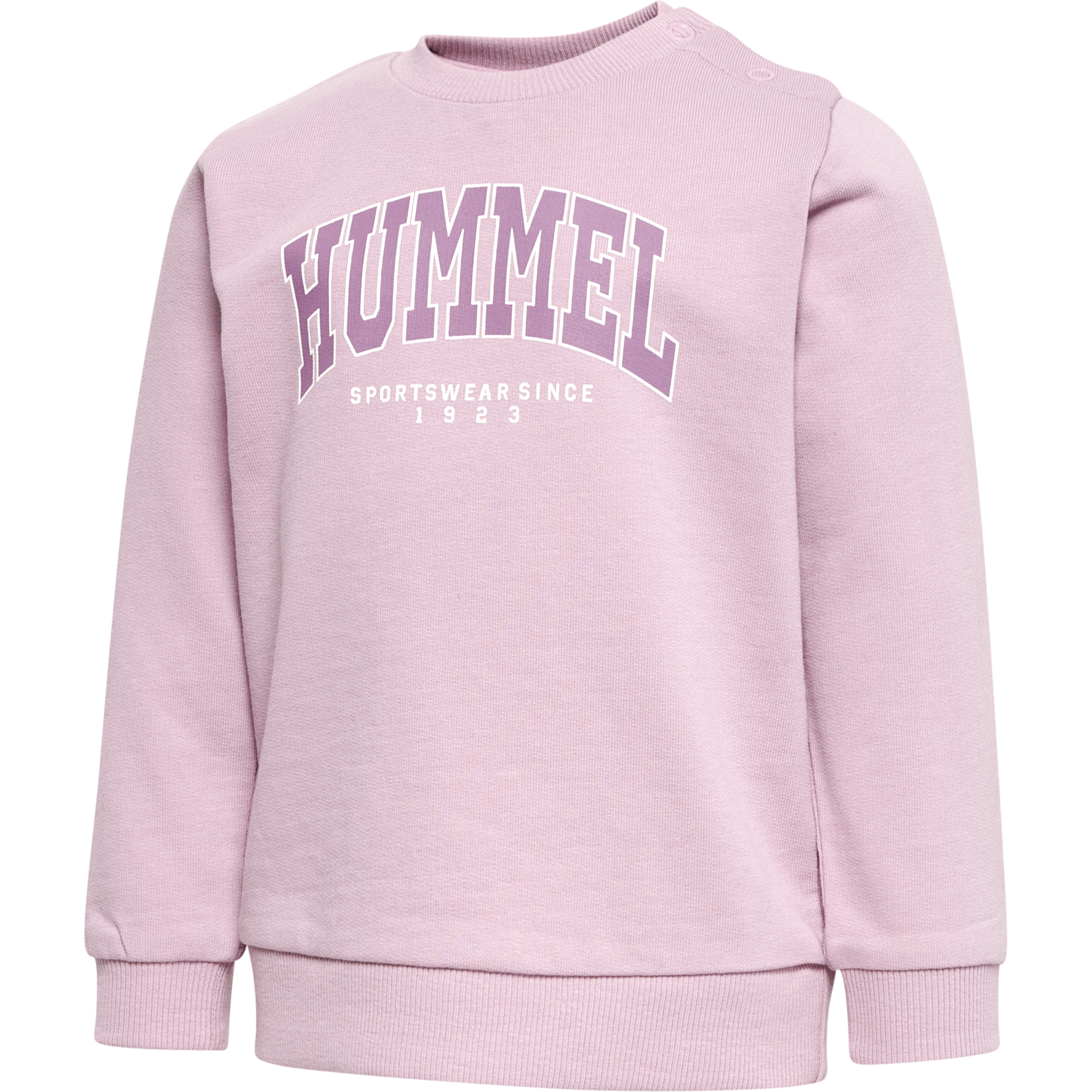 Lime Sweatshirt – Bild 5