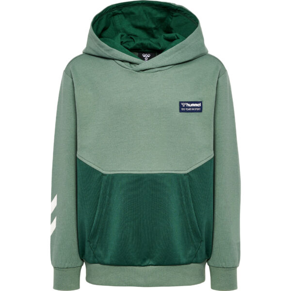 hmlEDDY HOODIE