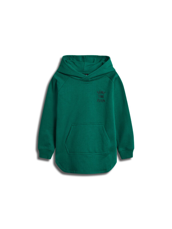 Stsmonterey Hoodie