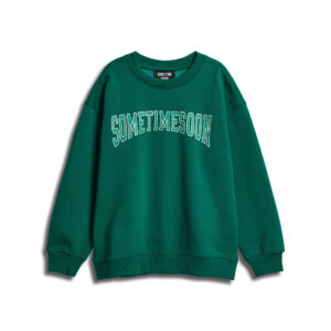 Stswinters Sweatshirt – Bild 5
