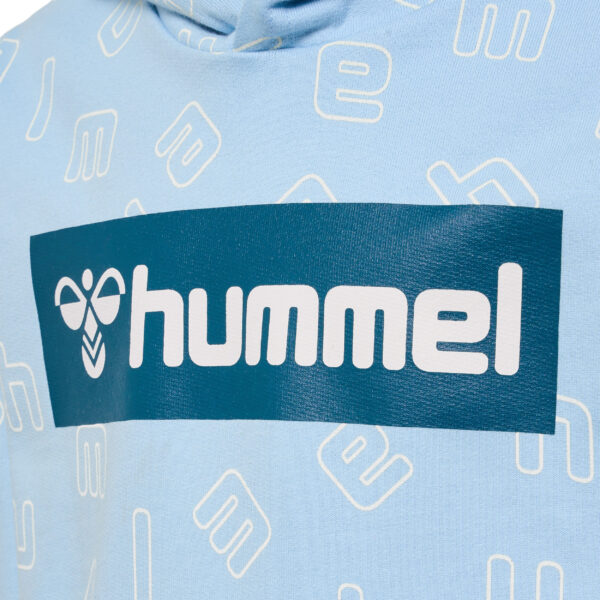 hmlFLOW HOODIE