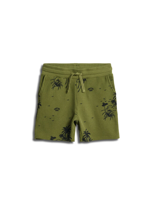 Stsbahamas Shorts