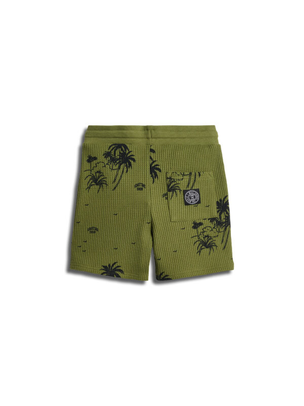 Stsbahamas Shorts
