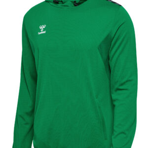 hmlAUTHENTIC PL HOODIE – Bild 9