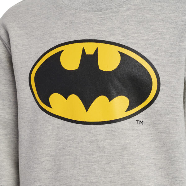 hmlBATMAN DOS SWEATSHIRT