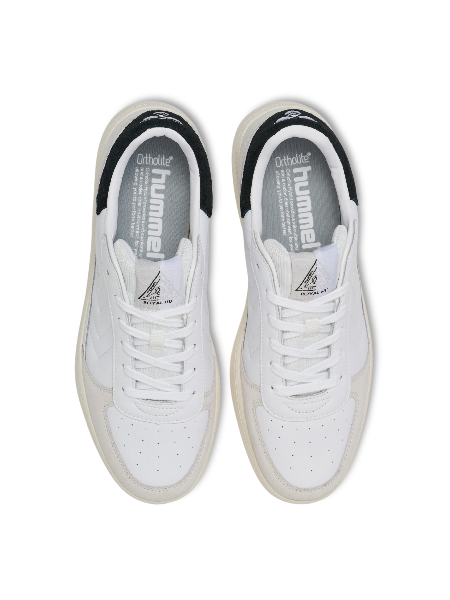 ROYAL HB LS – Bild 3