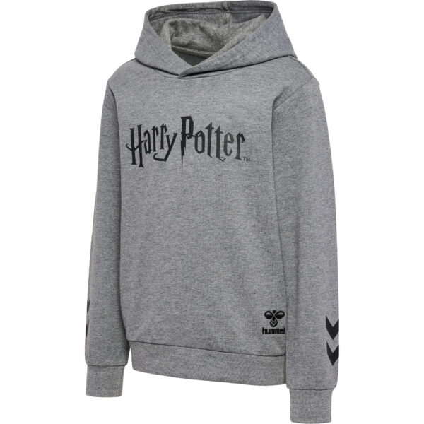 Potter Hoodie
