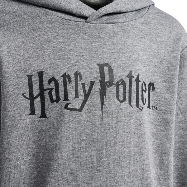 hmlHARRY POTTER HOODIE