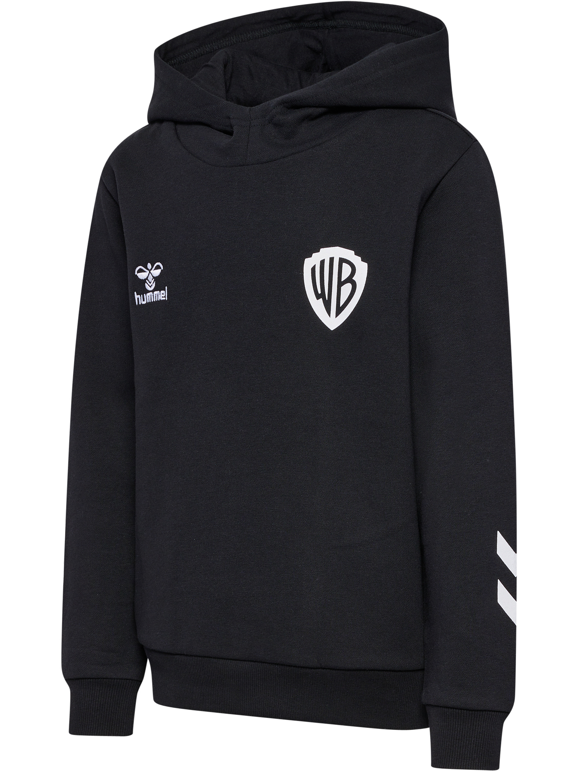 hmlCELEBRATING STORY HOODIE – Bild 1