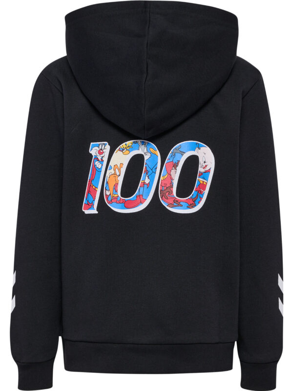 hmlCELEBRATING STORY HOODIE