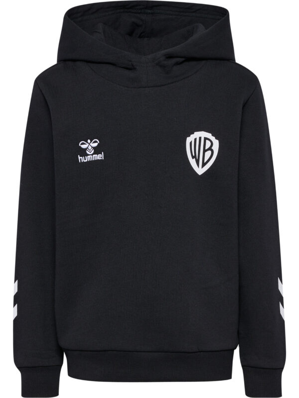hmlCELEBRATING STORY HOODIE