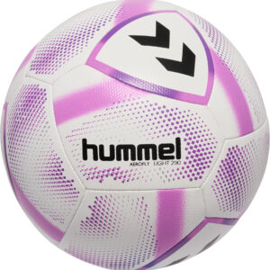 hmlAEROFLY LIGHT 290 – Bild 1