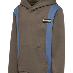 hmlALLTON HOODIE – Bild 1