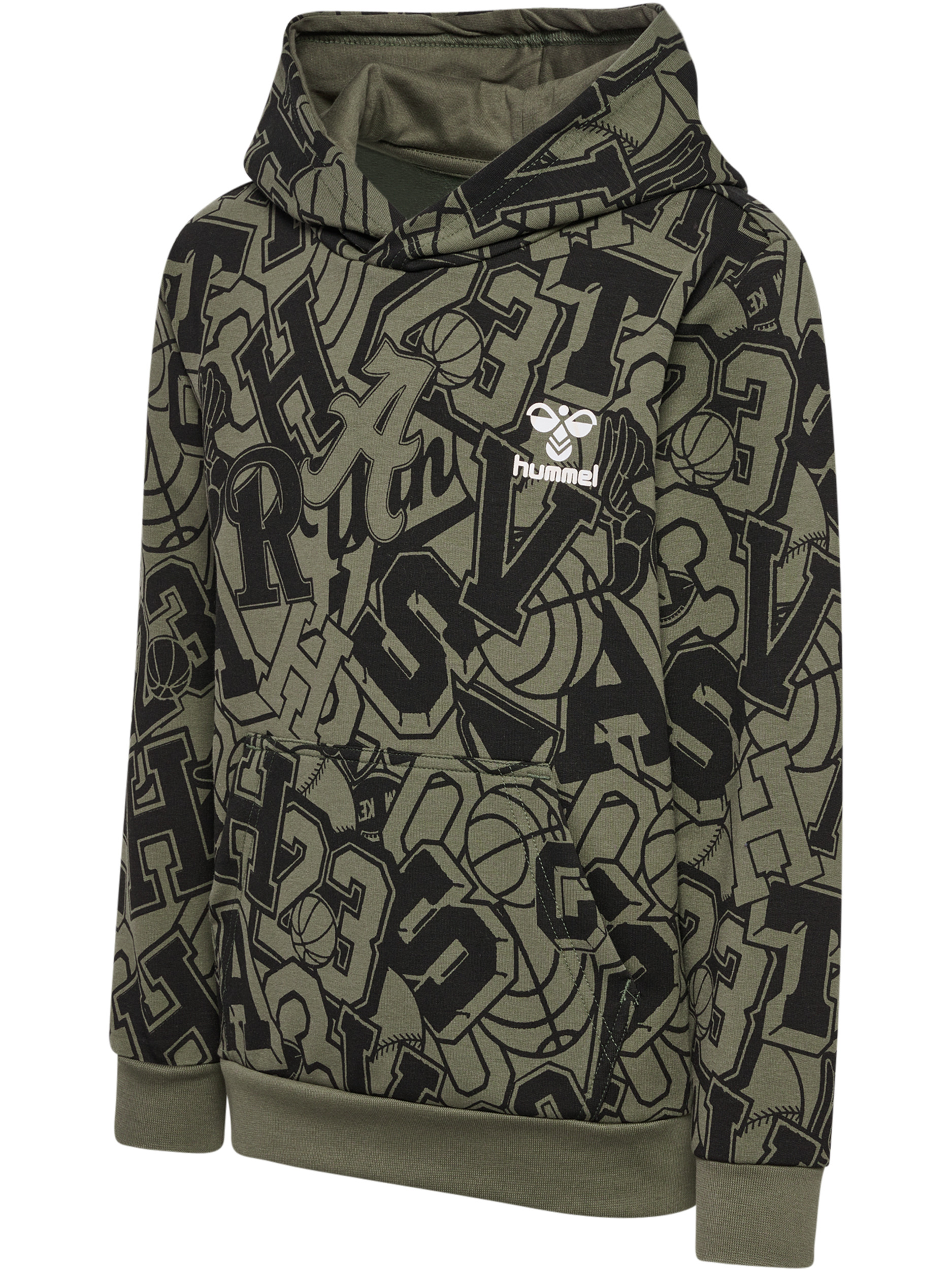 hmlMOLT HOODIE – Bild 1