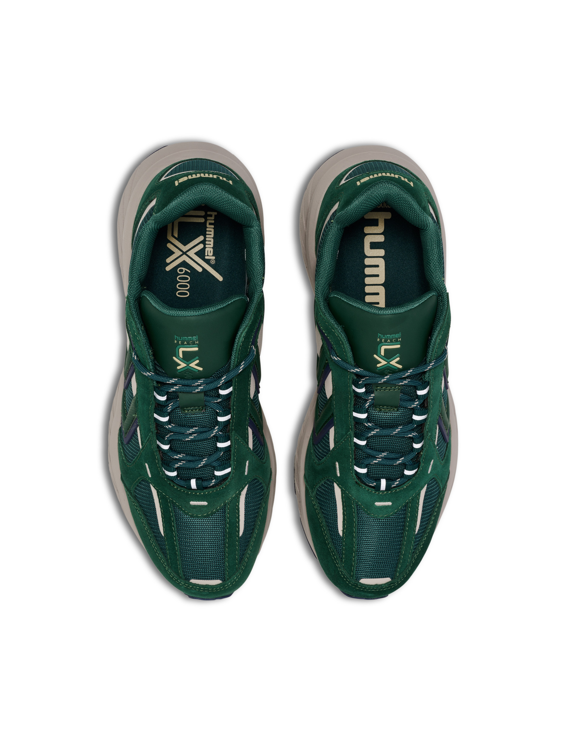 REACH LX 6000 MS – Bild 6