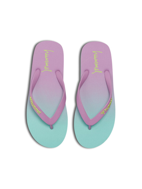 FLIP FLOP GRADIENT