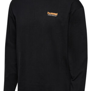 hmlLOOSE T-SHIRT L/S SW – Bild 1