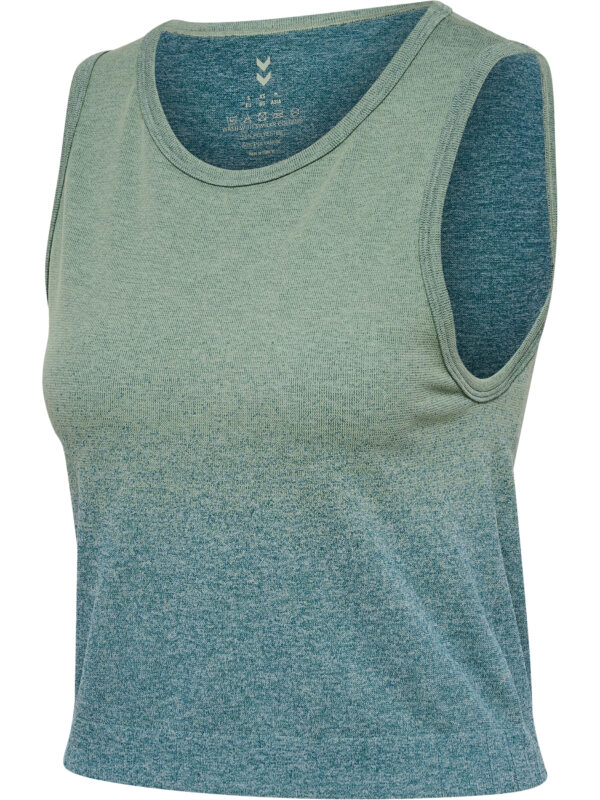 Seamless Gradient Crop Top