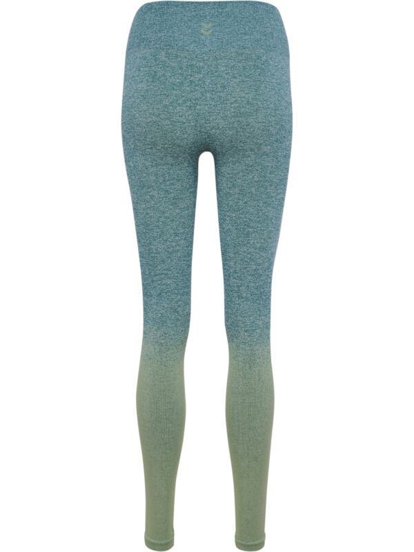Seamless Gradient Hw Tights