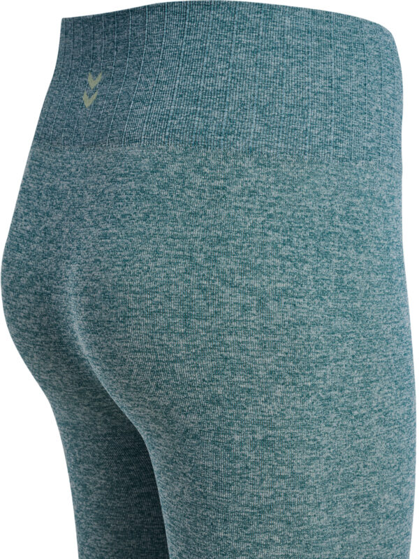 Seamless Gradient Hw Tights