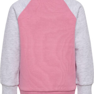 Reg Base Sweat Set – Bild 3