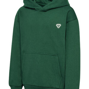 hmlJR LOOSE HOODIE BEE – Bild 12