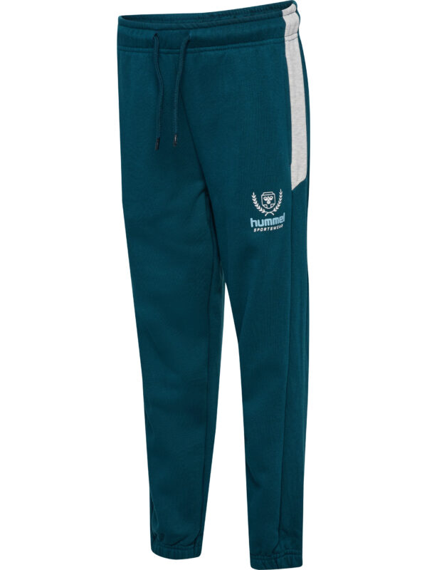 hmlJR LOOSE BLOCKED SWEATPANT BTS