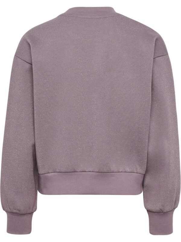 Loose Glitter Crewneck Bee