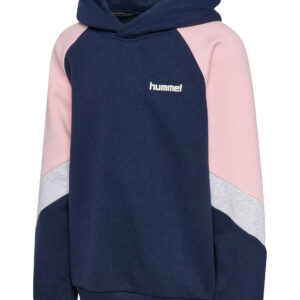 hmlJR LOOSE BLOCKED HOODIE – Bild 1