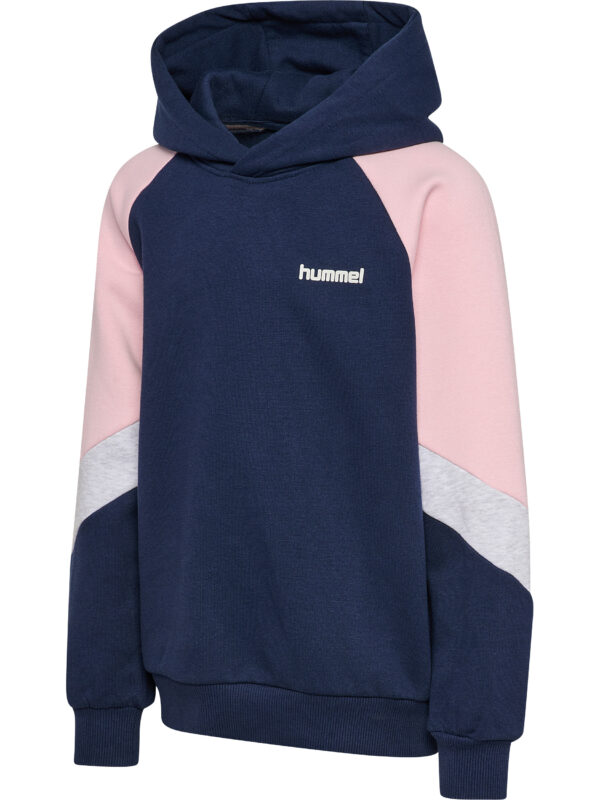 hmlJR LOOSE BLOCKED HOODIE