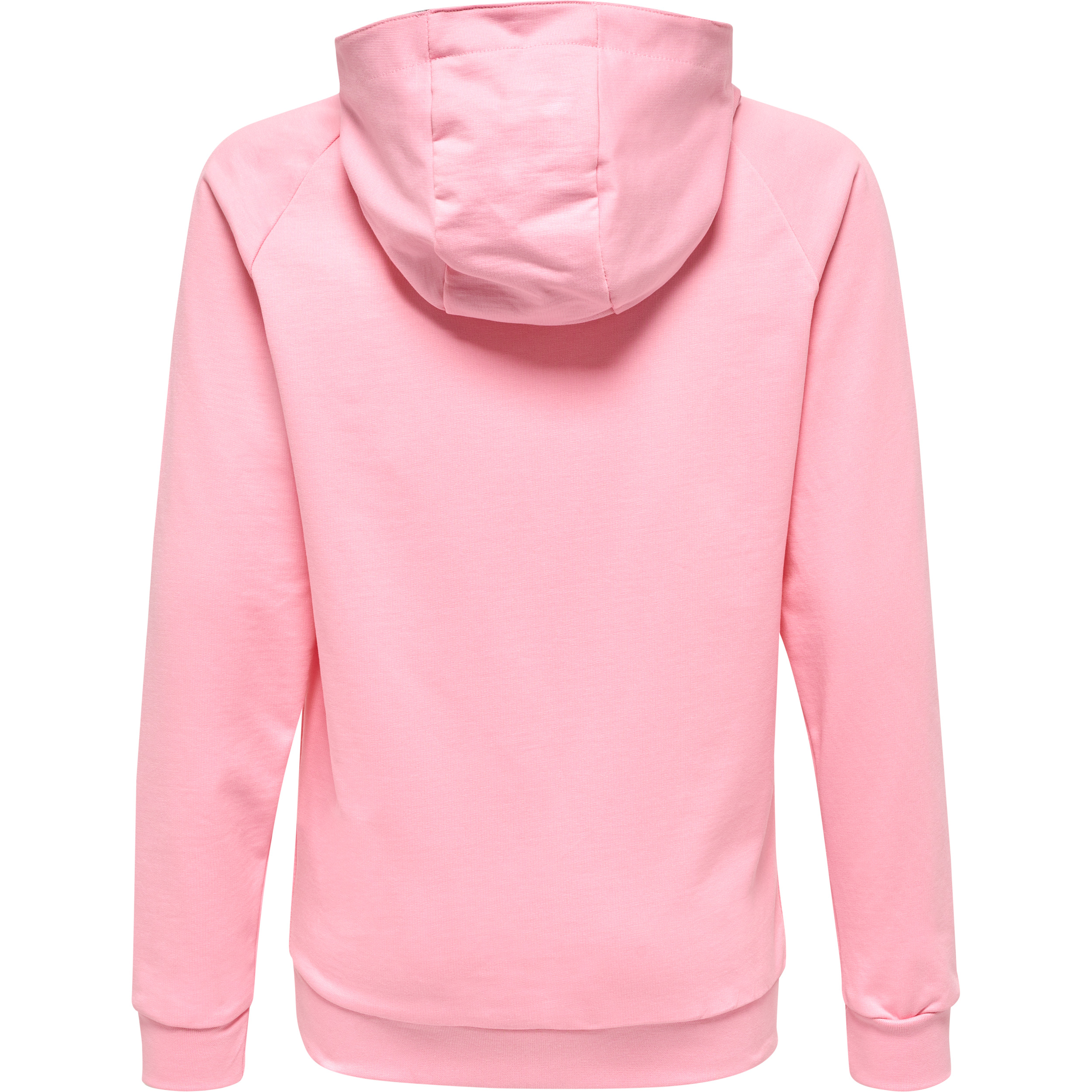 hmlGO KIDS COTTON LOGO HOODIE – Bild 2