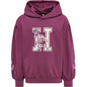 hmlASTROLOGY HOODIE – Bild 3