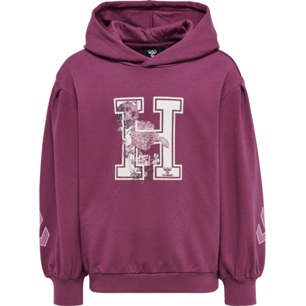 hmlASTROLOGY HOODIE