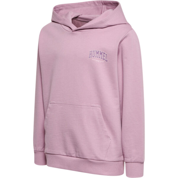 hmlFAST HOODIE