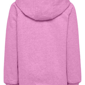hmlGO KIDS COTTON LOGO HOODIE – Bild 2