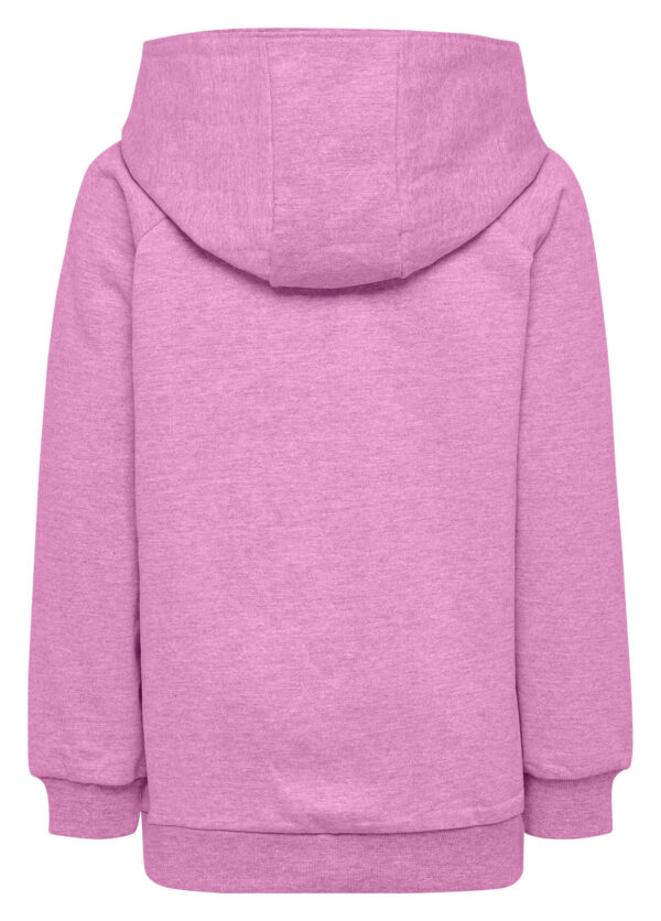 hmlGO KIDS COTTON LOGO HOODIE