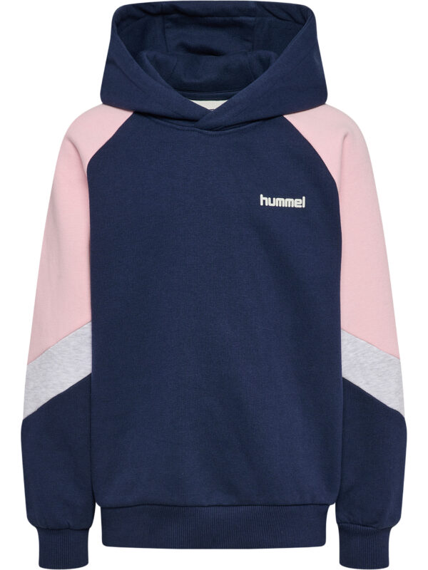 hmlJR LOOSE BLOCKED HOODIE