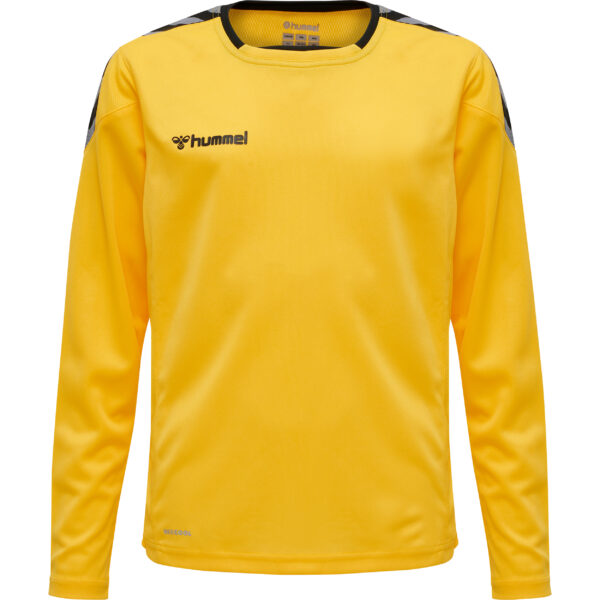hmlAUTHENTIC KIDS POLY JERSEY L/S